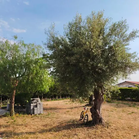 Terra di lava Casa vacanze *